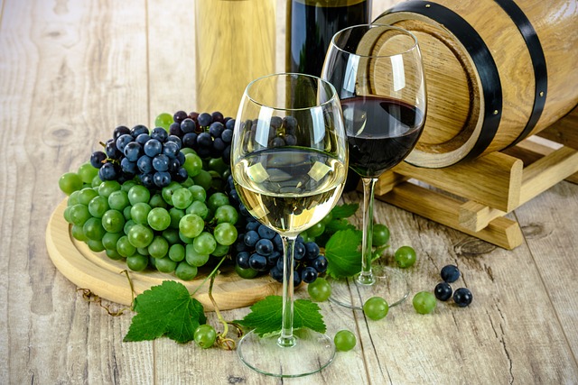 Vyzkoušejte neuvěřitelné kouzlo – Resveratrol